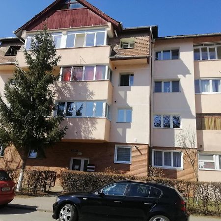 Studio Acasa Сибиу Екстериор снимка
