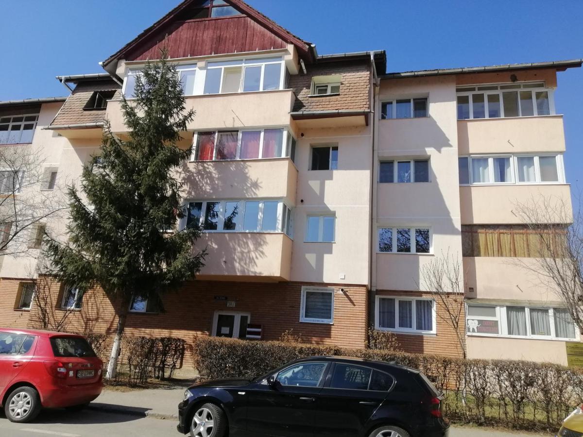Studio Acasa Сибиу Екстериор снимка
